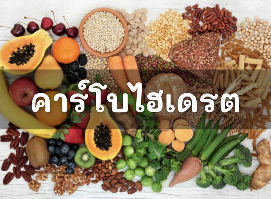 หน้าที่ของคาร์โบไฮเดรต สำคัญอย่างไร