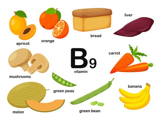 วิตามินบี 9 (โฟเลต) จากแหล่งอาหารต่างๆ