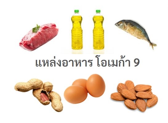 รูปภาพ แหล่งอาหารของโอเมก้า 9