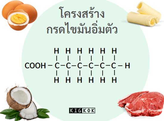 โครงสร้างกรดไขมันอิ่มตัว (saturated fatty acid)